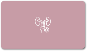 Specialized urological care addressing age-related urinary and kidney health concerns with dignity and comfort.